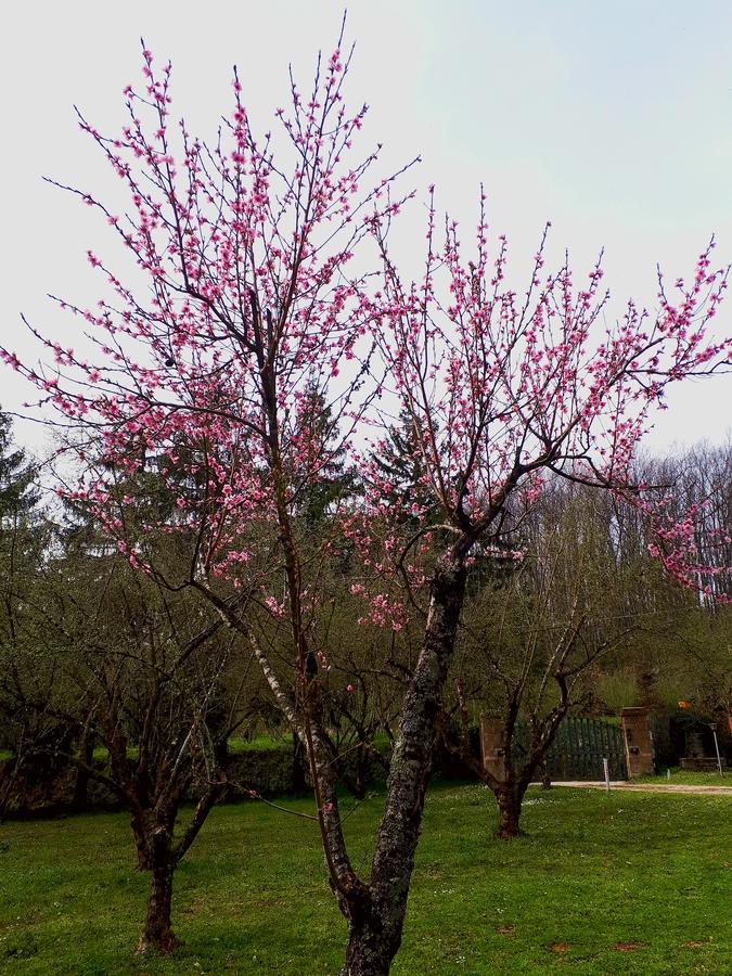 Bed And Breakfast Monticelli Capranica Exterior foto